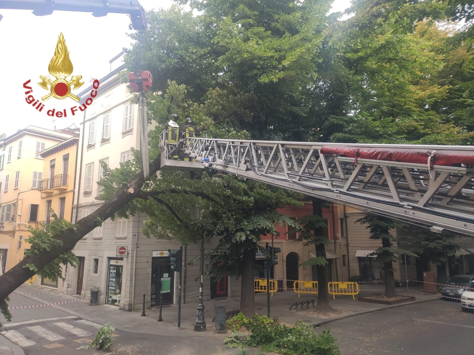 vigili del fuoco albero corso garibaldi reggio emilia polizia locale (2)