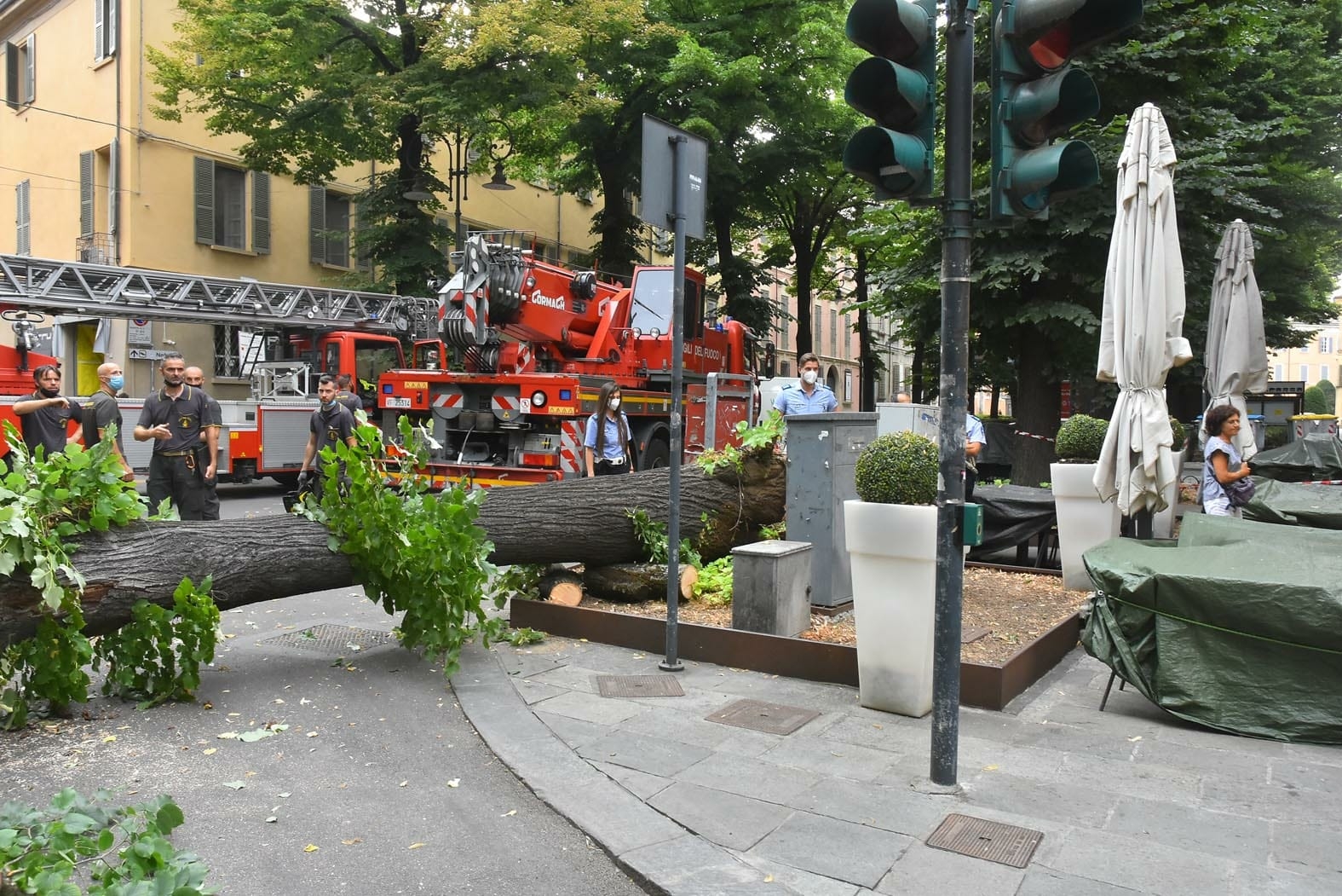 vigili del fuoco albero corso garibaldi reggio emilia polizia locale (3)