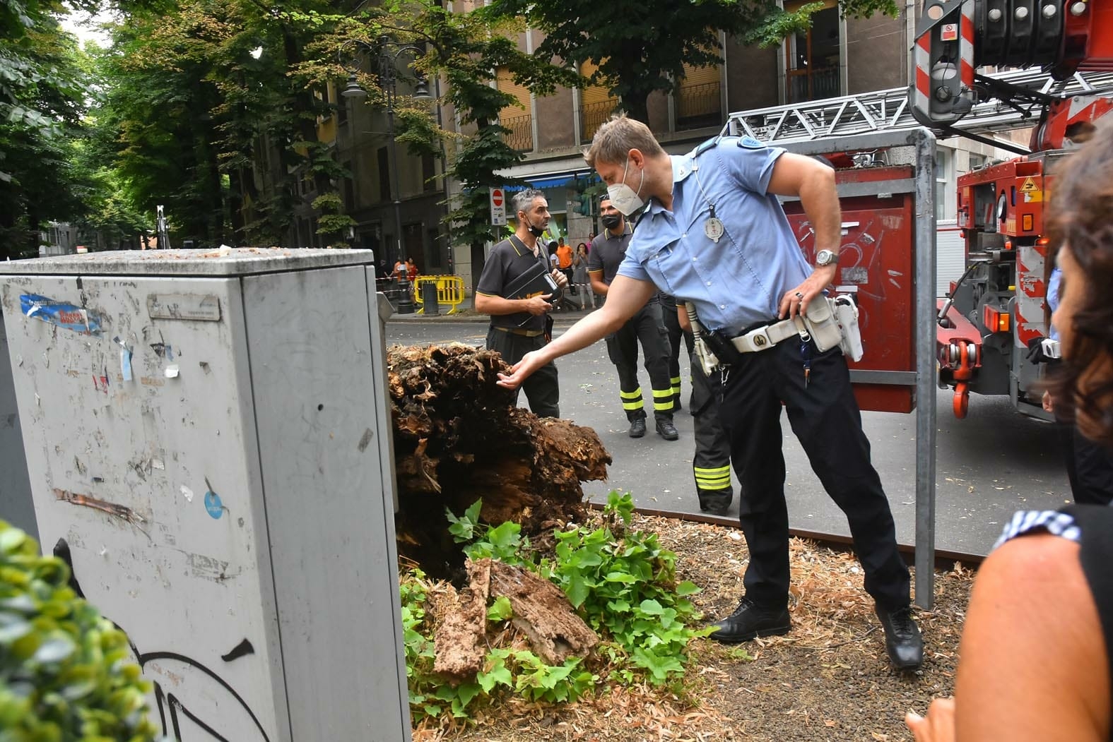 vigili del fuoco albero corso garibaldi reggio emilia polizia locale (4)