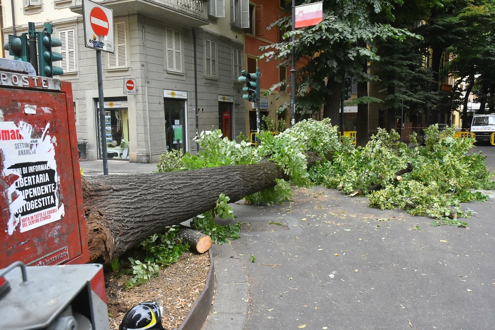vigili del fuoco albero corso garibaldi reggio emilia polizia locale (7)