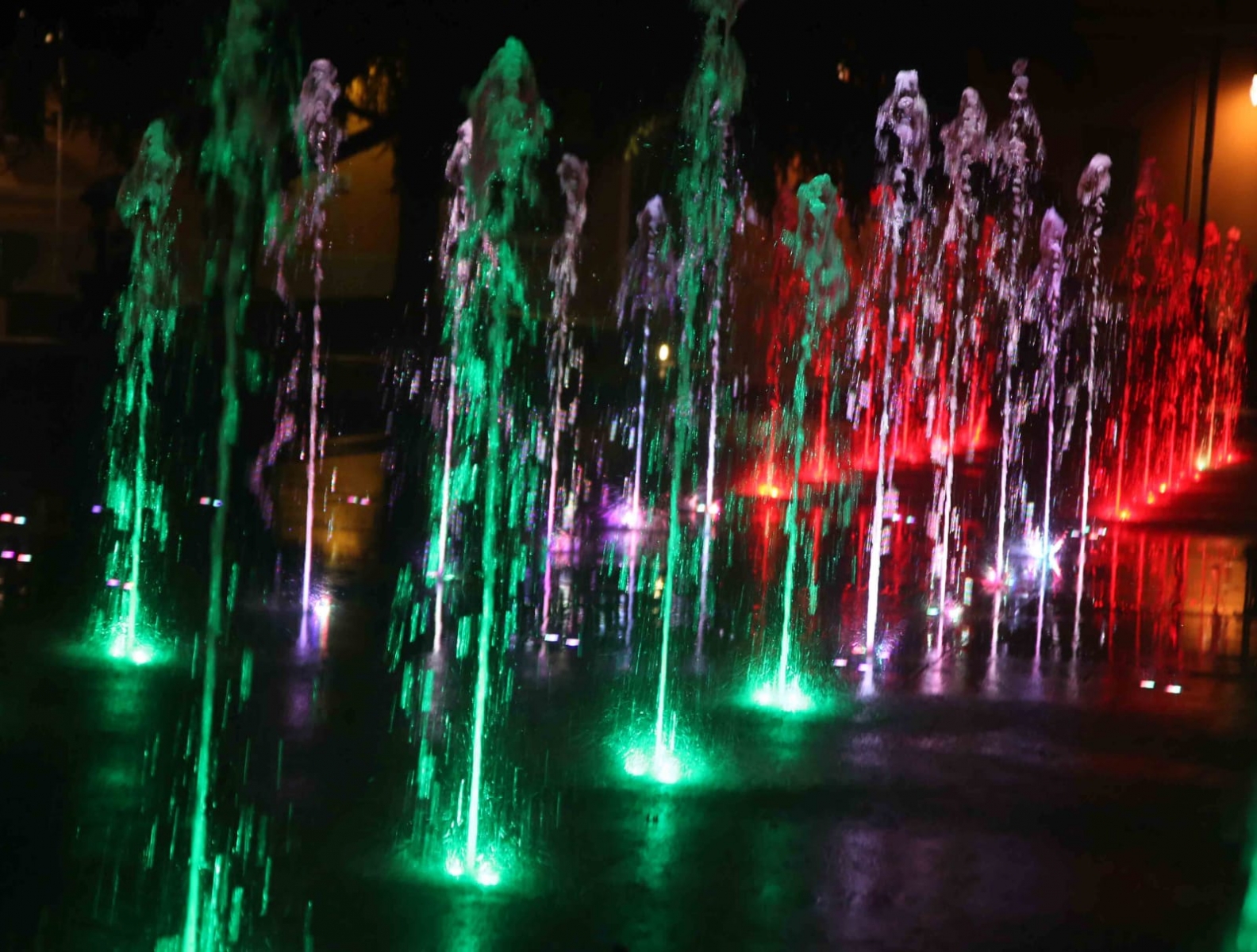 WhatsApp Image 2020-11-15 at 09.54.01 (1)