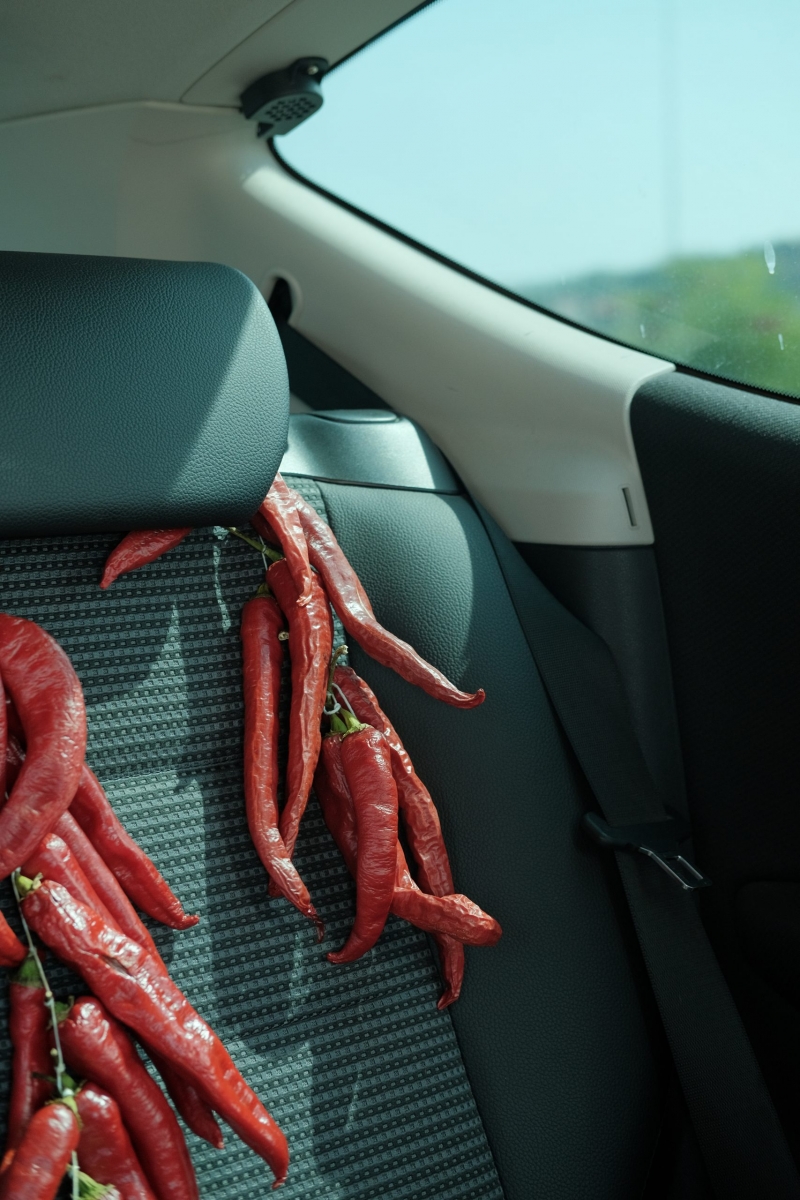 Bianca Tardini_my.love.loft