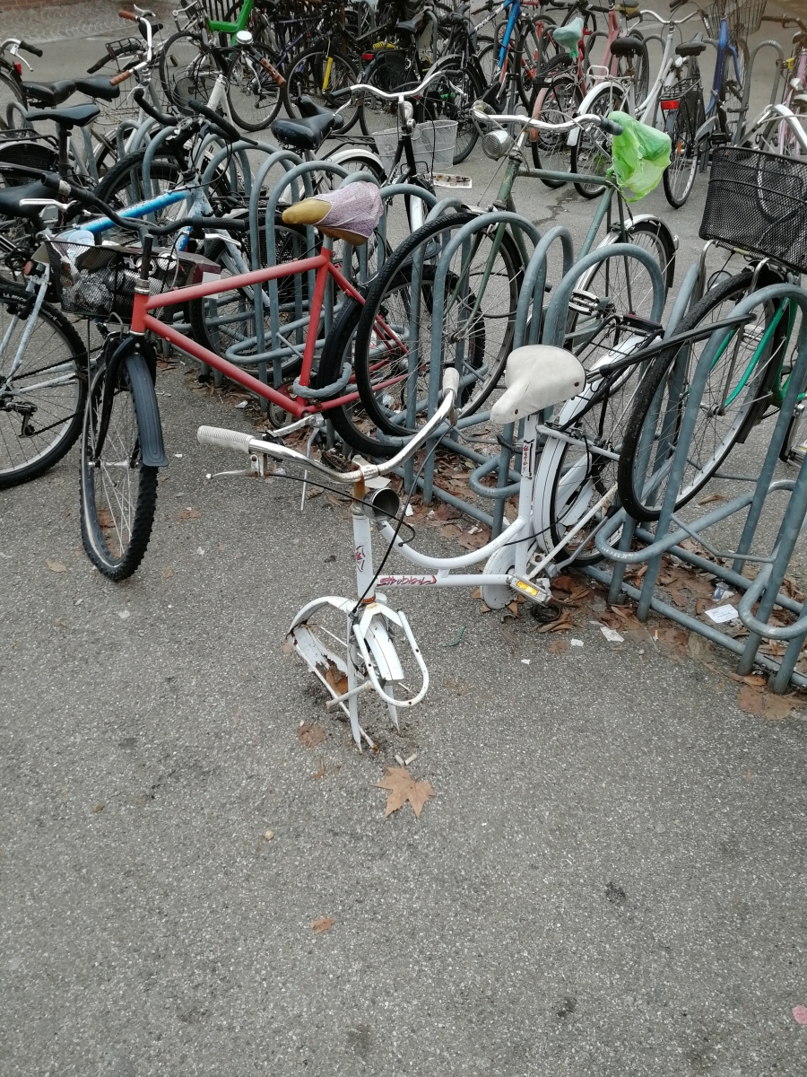 furti bici vandali stazione reggio emilia (3)