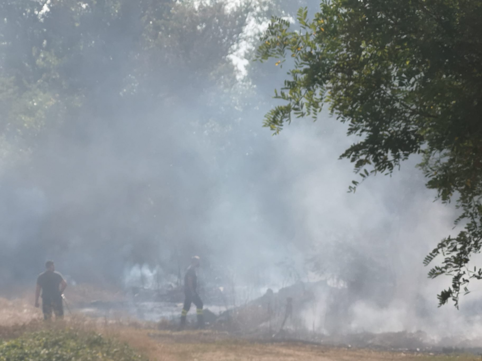 incendio sterpaglie santilario carabinieri forestali vigili del fuoco (1)