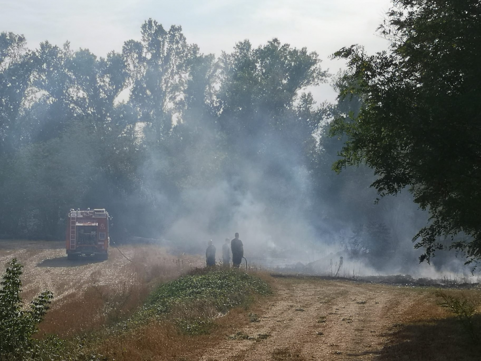 incendio sterpaglie santilario carabinieri forestali vigili del fuoco (4)