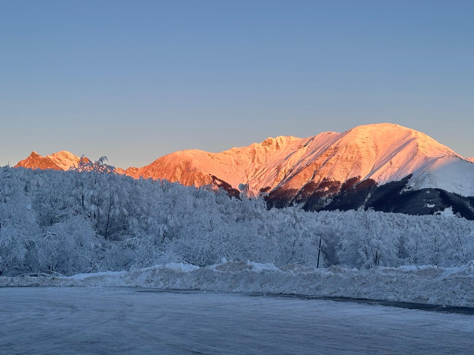 WhatsApp Image 2026-01-06 at 11.12.45