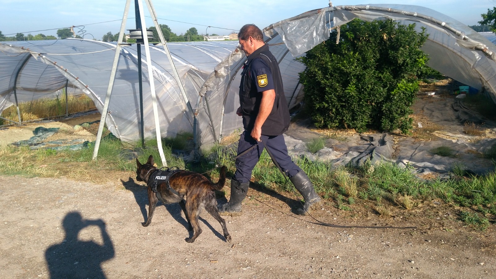 cani polizia tedesca ricerche saman abbas novellara 5 7 (1)