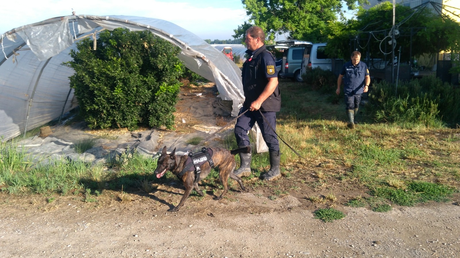 cani polizia tedesca ricerche saman abbas novellara 5 7 (2)