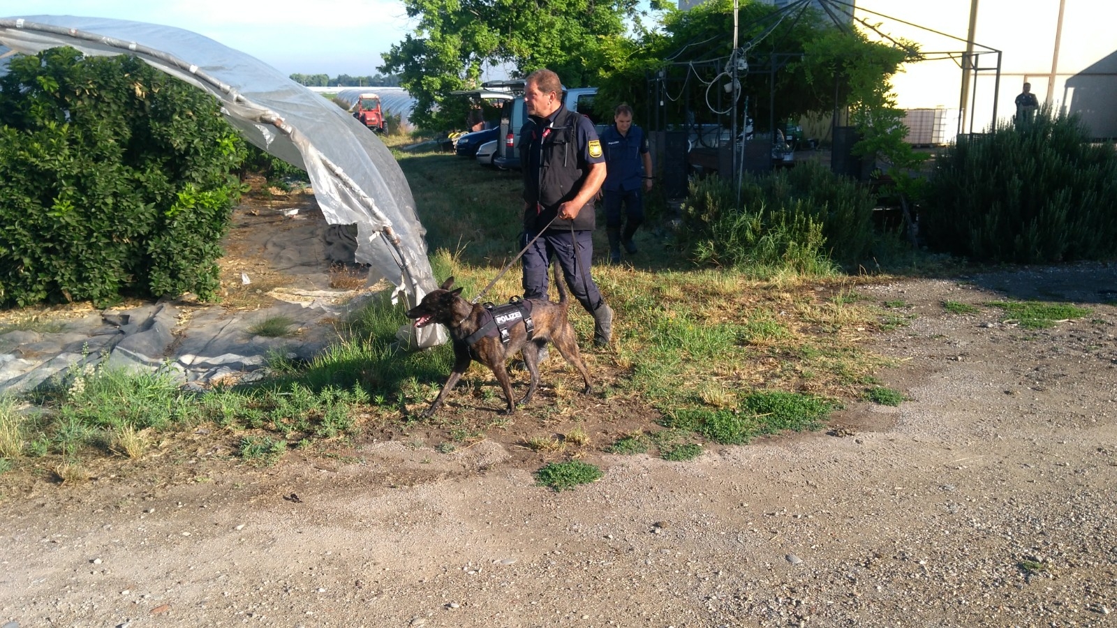 cani polizia tedesca ricerche saman abbas novellara 5 7 (3)