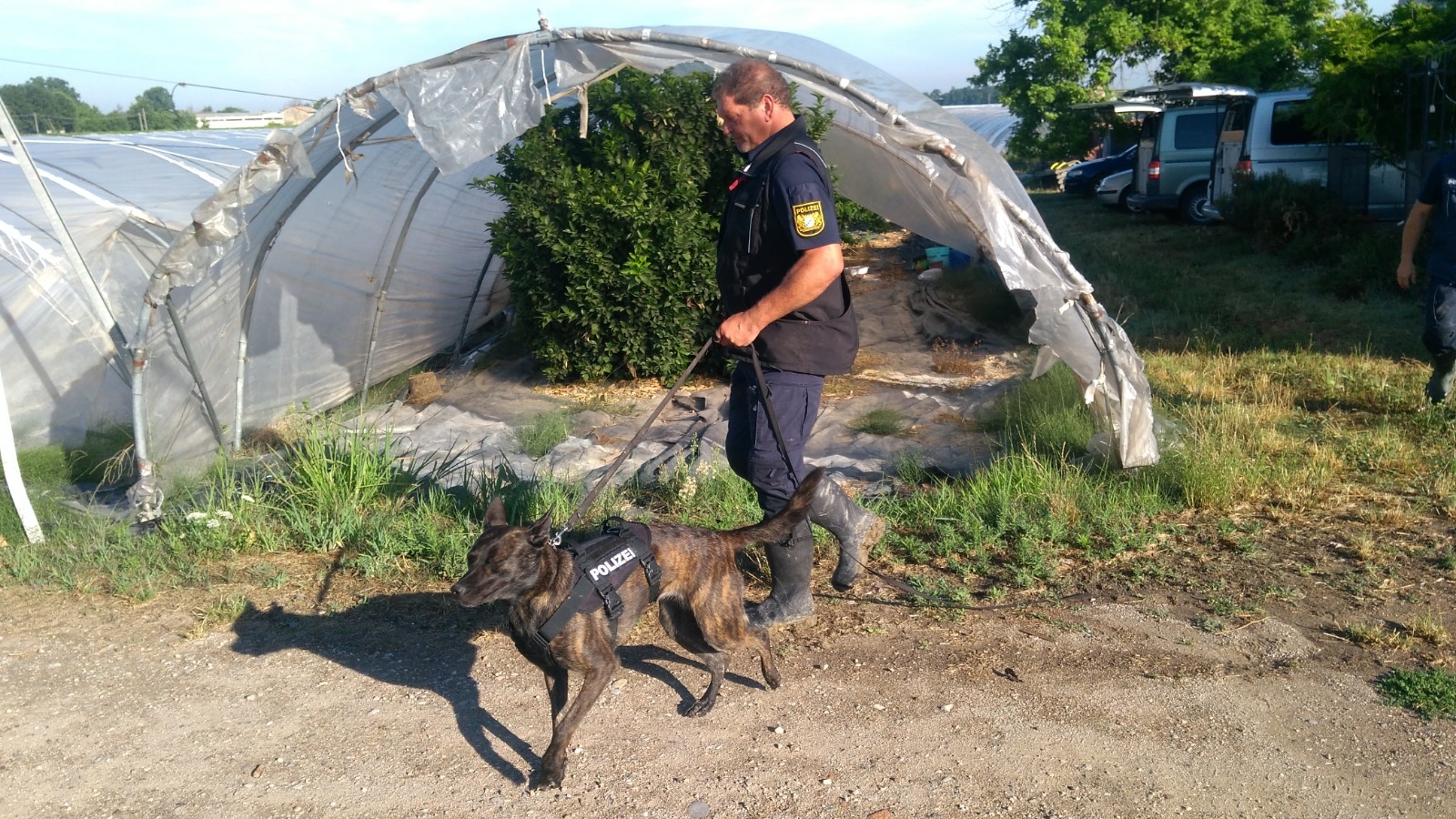 cani polizia tedesca ricerche saman abbas novellara 5 7 (4)