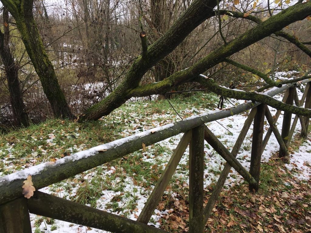 Reggio Emilia, albero spezzato crolla sulla pista ciclabile del Crostolo. FOTO Reggio Emilia, albero spezzato crolla sulla pista ciclabile del Crostolo. FOTO
