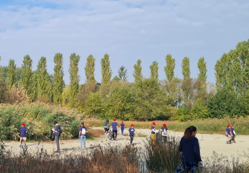 raccolta plastica reggio (3)