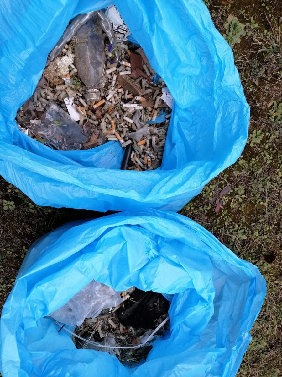 IMG_20220205_160956-scaled