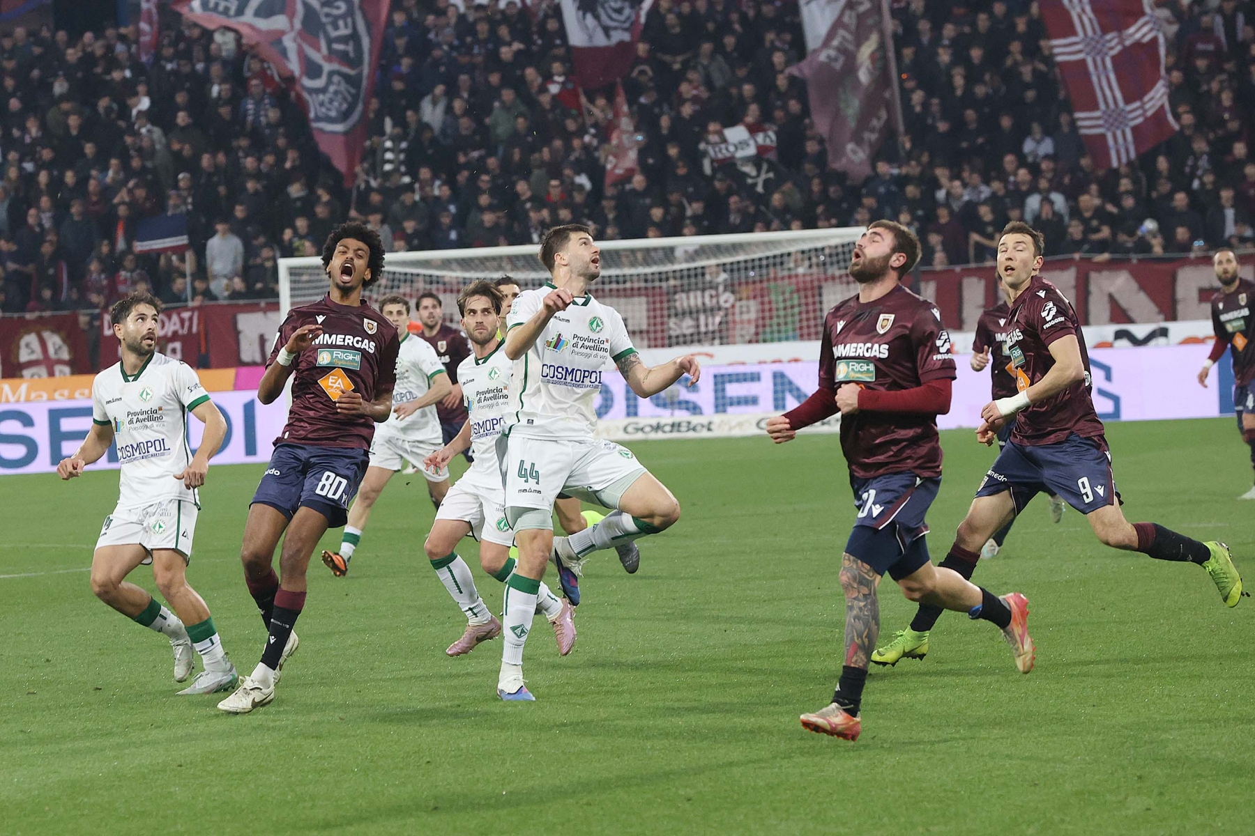 Reggiana-Avellino (21)