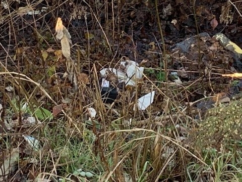 rifiuti cispadana boretto gualtieri 16 01 2020 (1)