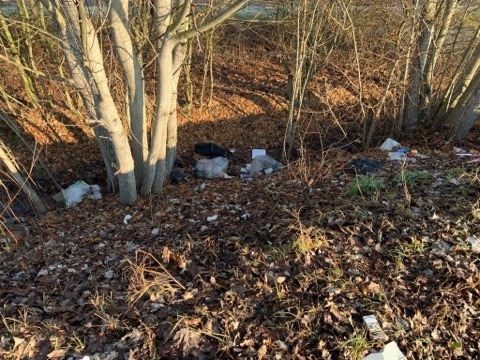 rifiuti cispadana boretto gualtieri 16 01 2020 (2)