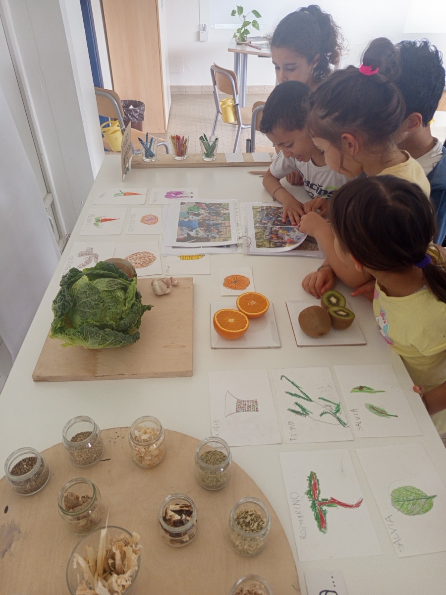 scuole aperte 2026 reggio emilia (4)