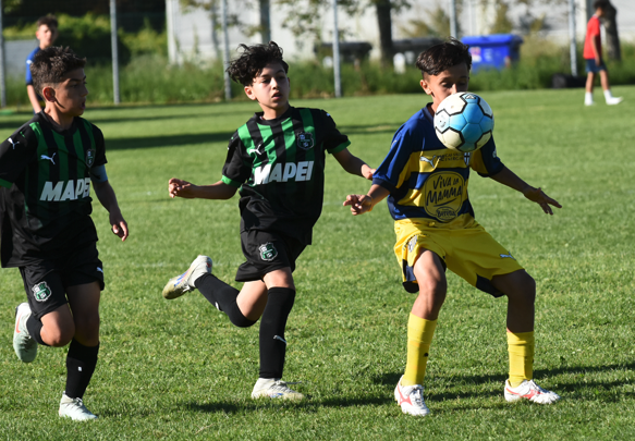 reggio calcio 8