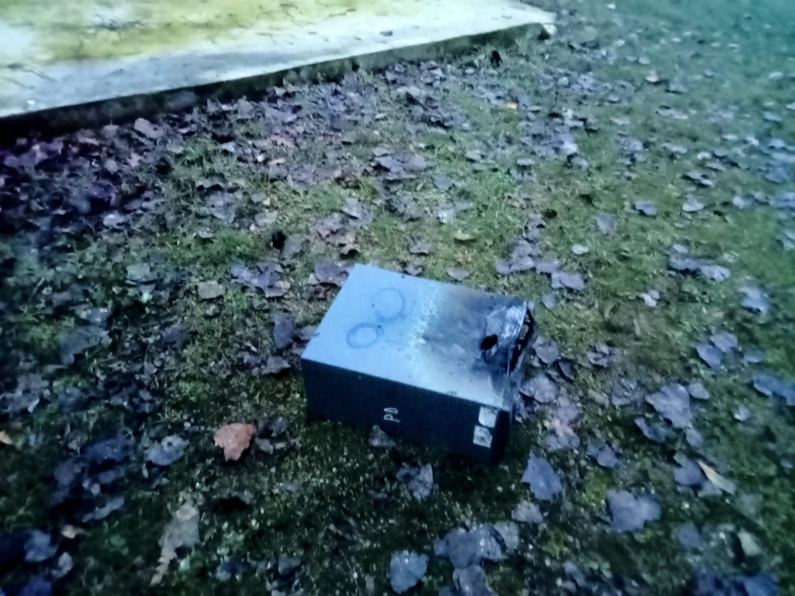 vandali parco enza montecchio 24 2 2023 (5)