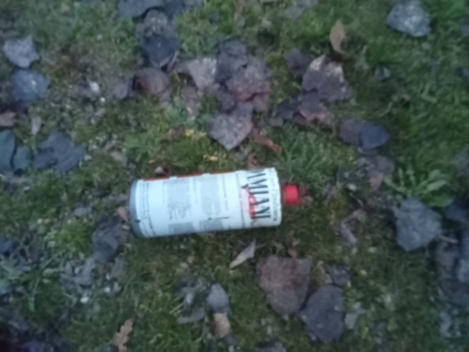 vandali parco enza montecchio 24 2 2023 (6)